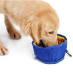 Plato Portátil - Imagen 4