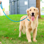 Correa-collar de algodón de ahorque