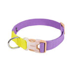 Collar Colorful Morado