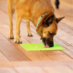 licky mat buddy large