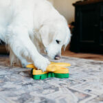 zippypawsSmartyPawsPuzzlerSunflower