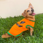 Polo de Calabaza de Algodón - Imagen 3