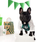 Scrappie Shopper Disfraz Barista