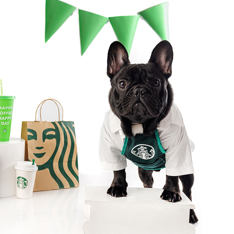 scrappie-shopper-disfraz-barista-starbucks Scrappie Shopper Disfraz Barista - Imagen 1