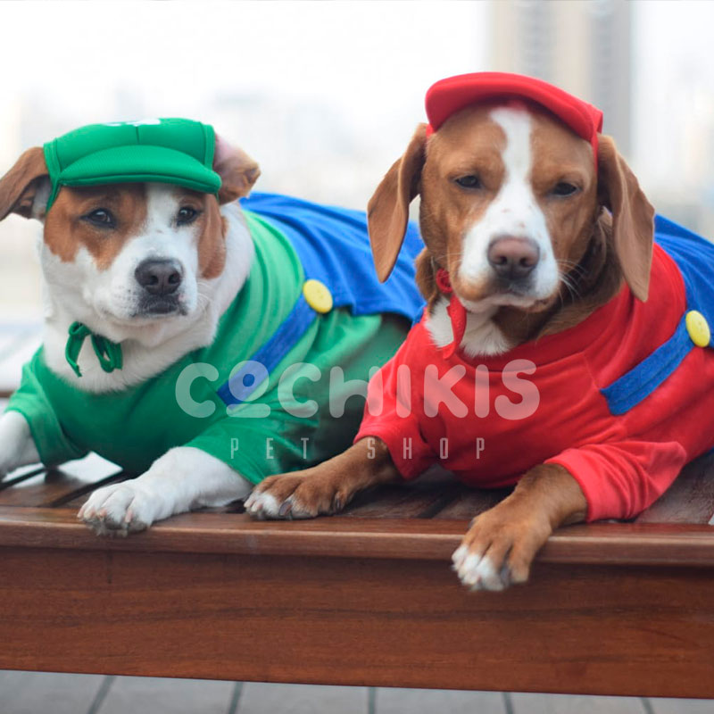 Contradicción Multiplicación Escuela primaria Traje enterizo Mario Bross para mascotas - Cochikis Pet Shop