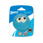 Chuckit! Recycled Remmy 1-Pack Medium