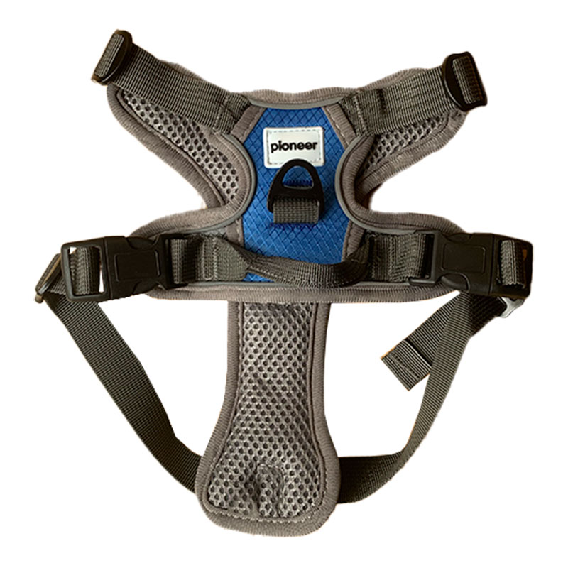 arnes-pioneer-azul-2xl