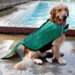 Chaleco Salvavidas Sirena