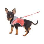 Arnés Hoodie Anaranjado