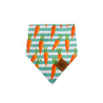 Bandana Carrots