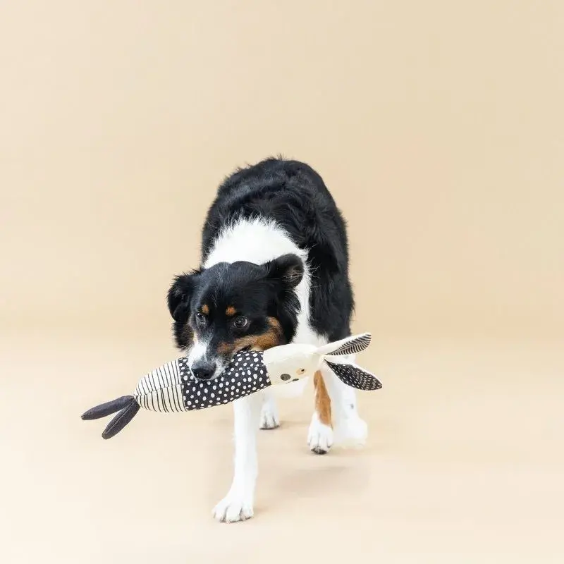 FRINGE JUGUETE CANVAS SQUEAKER ALL EARS