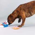 FRINGE JUGUETE HIDE & SEEK EAT MORE HOLE FOODS