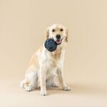 FRINGE JUGUETE PULLING YOU IN CELESTIAL