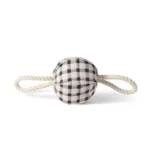 Fringe Juguete Pulling You In Painted Gingham