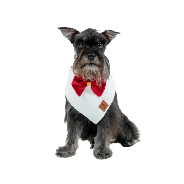 Bandana Baby Corduroy Glam Red
