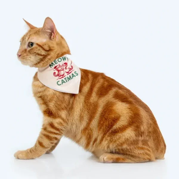 Bandana Meowy Catmas