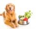 comida para perros