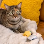 ZippyClaws - Nomnomz taco and burrito