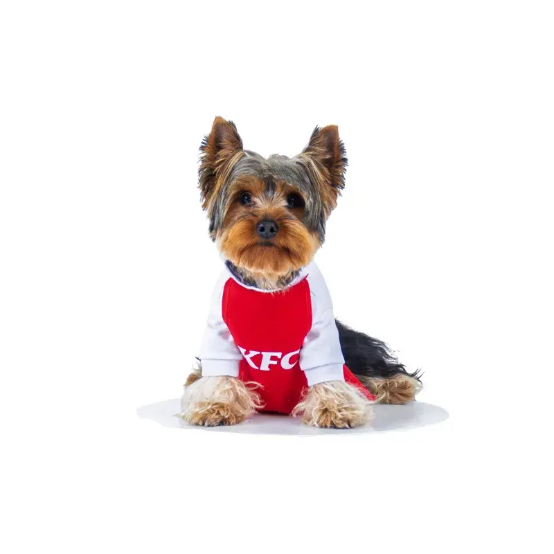 Que Woww Disfraz KFC 2