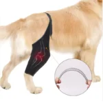 Protector de Rodilla Forte 2.0